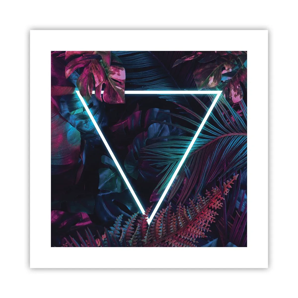 Plakat - Ogród w stylu disco - 40x40 cm