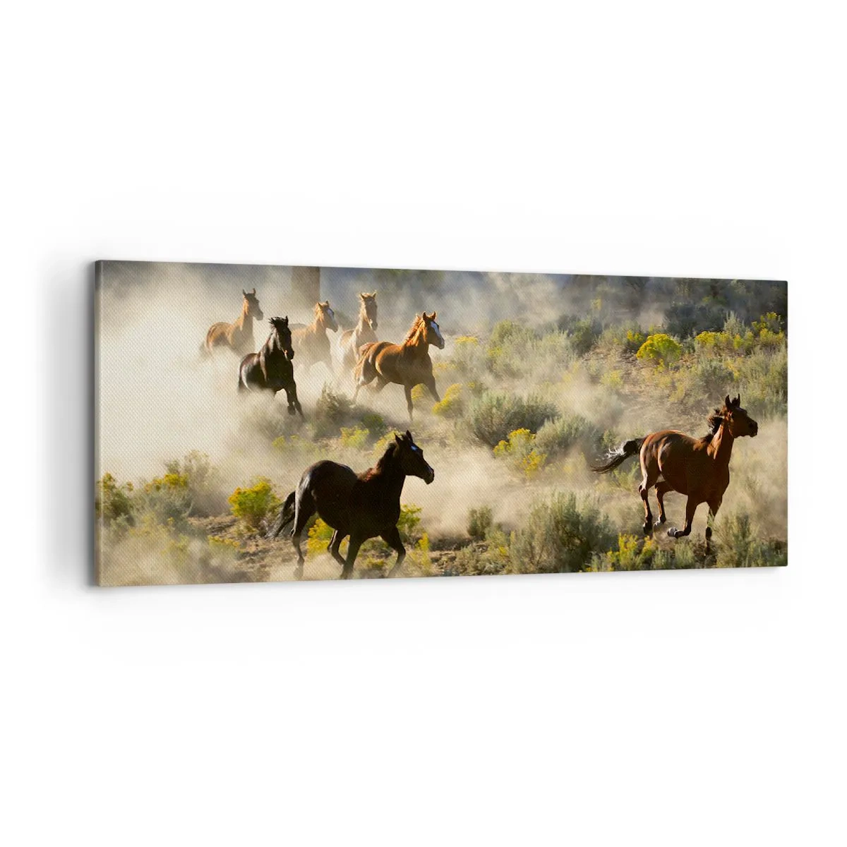 Obraz na płótnie - Rywalizacja - wolność czy męska siła? - 100x40 cm