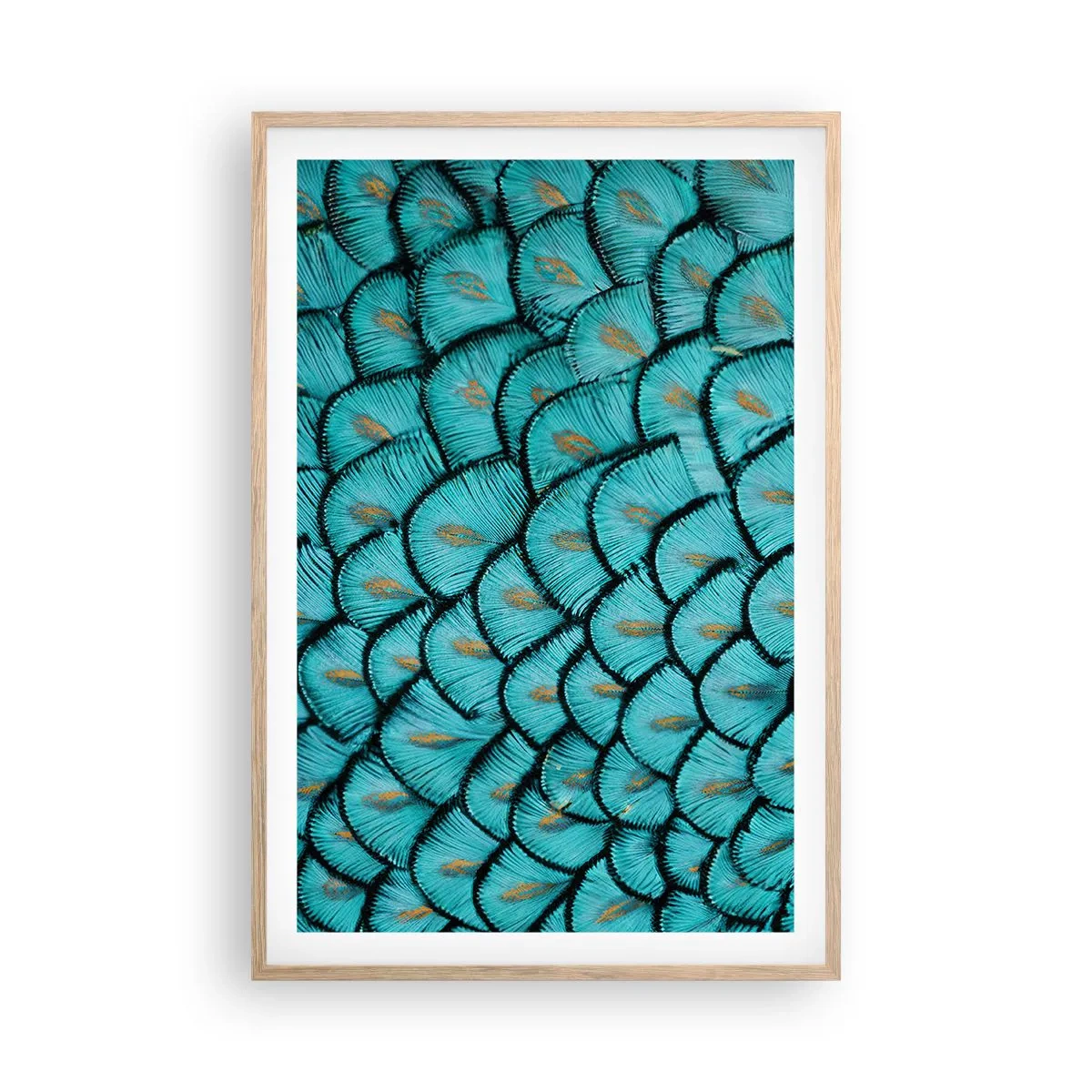 Plakat w ramie jasny dąb - Wielka gala piór - 61x91 cm
