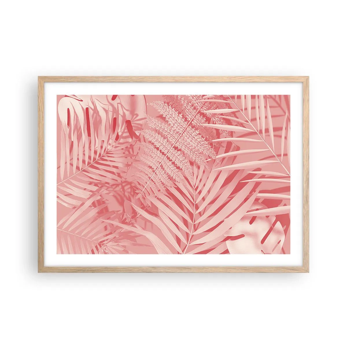 Plakat w ramie jasny dąb - Różowy koncept - 70x50 cm