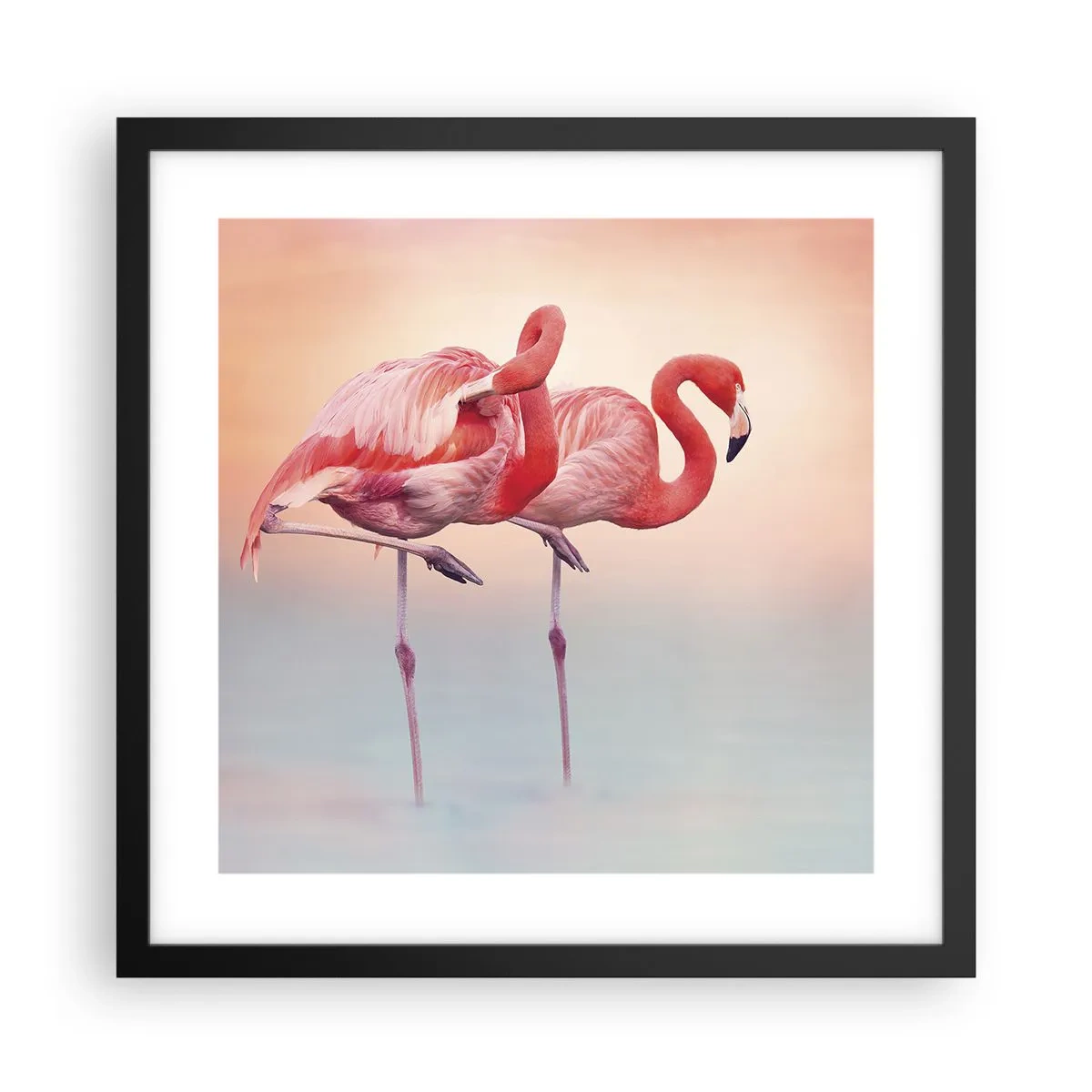 Plakat w czarnej ramie - W kolorze zachodzącego słońca - 40x40 cm