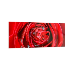 Obraz na szkle - W kroplach rosy - 100x40 cm