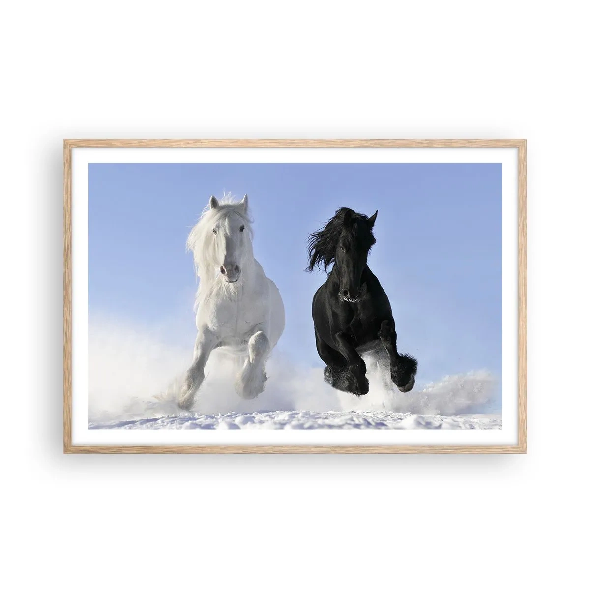 Plakat w ramie jasny dąb - Czarno-biały galop - 91x61 cm