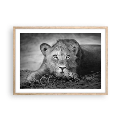 Plakat w ramie jasny dąb - Królewskie szczenię - 70x50 cm