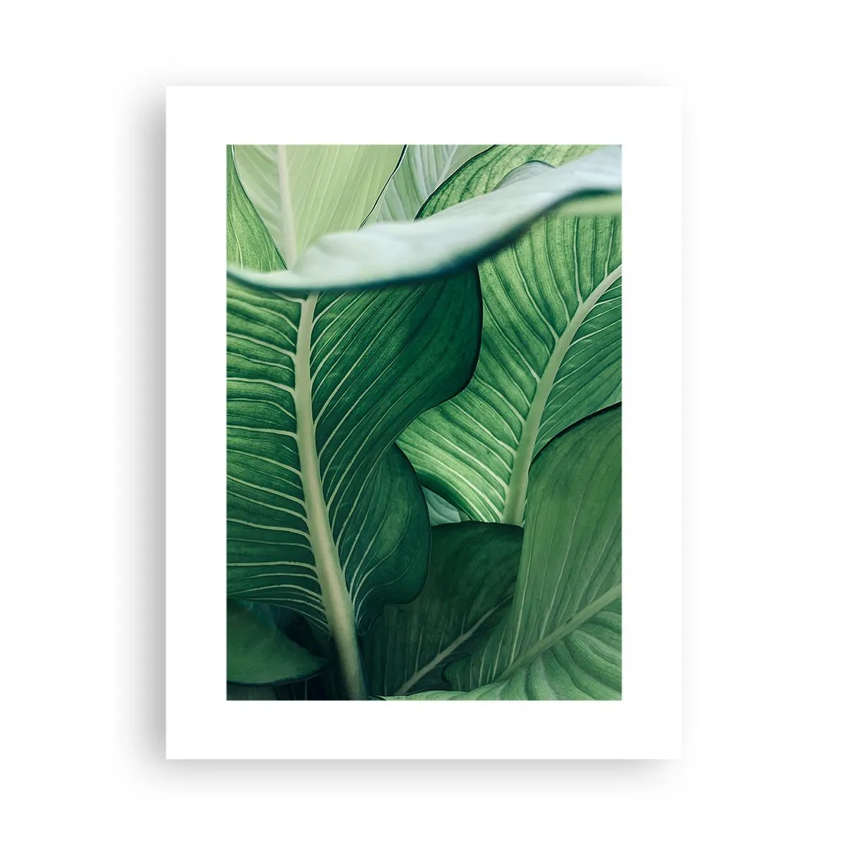 Plakat - Życie intensywnie zielone - 30x40 cm