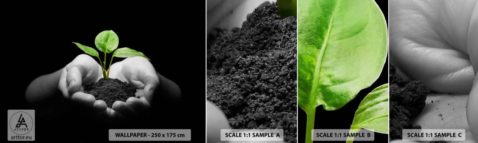 Fototapeta Próbka Standard Eco - Kocham naturę, chronię ją - Natura, Życie, Roślina - 100x30 cm