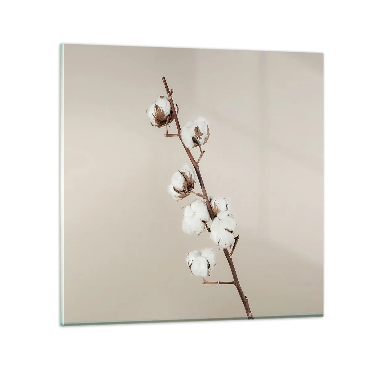 Obraz na szkle - U źródła miękkości - 40x40 cm