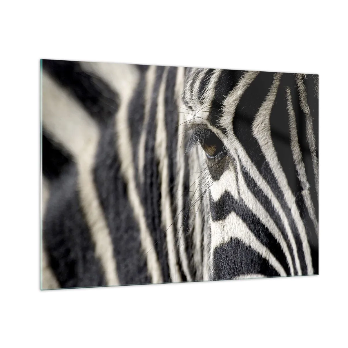 Obraz na szkle - Zbliżenie na oko zebry i czarno-białe paski - 100x70cm - Portret w paski - Nowoczesna dekoracja ścienna do salonu, kuchni i sypialni ARTTOR