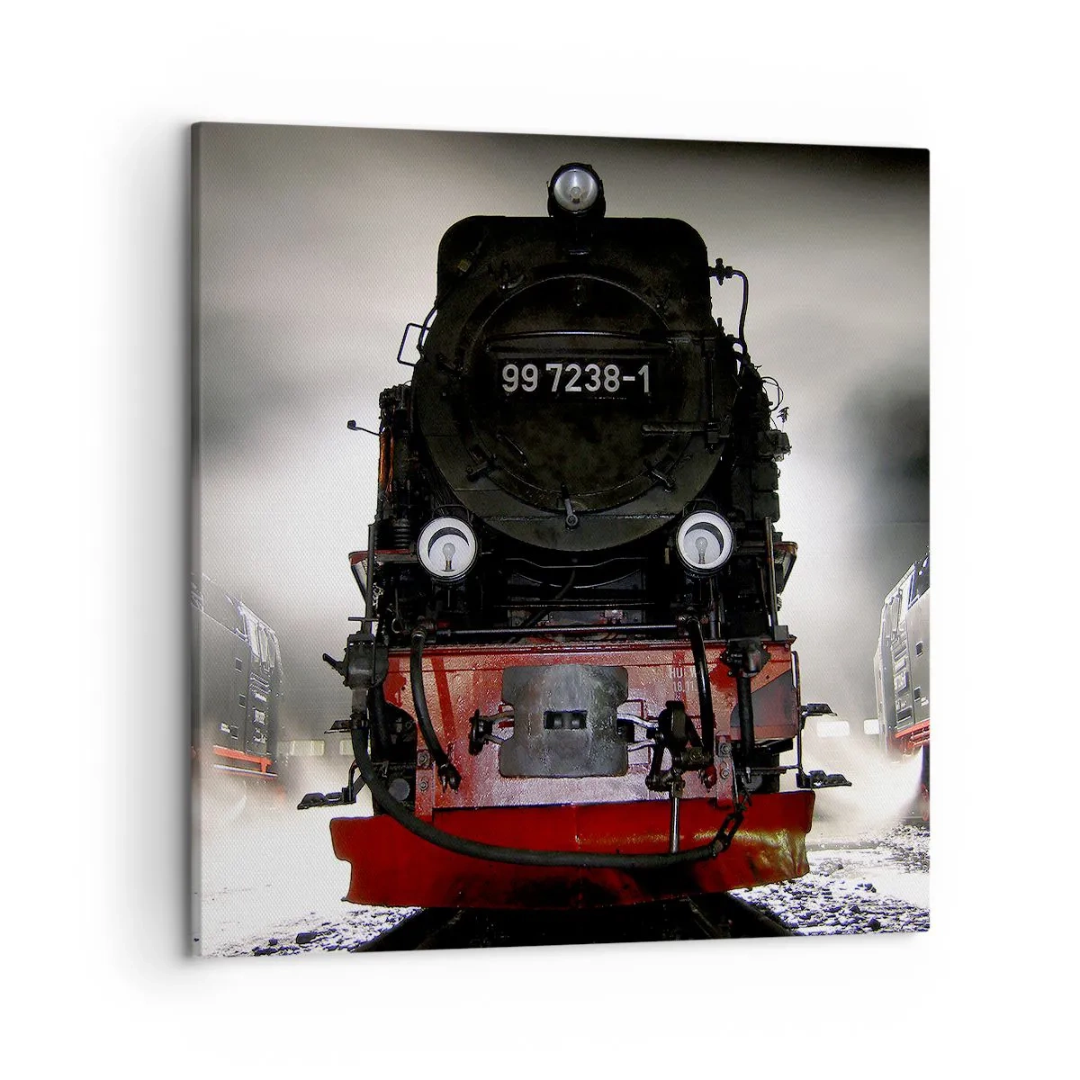 Obraz na płótnie - Stoi i sapie, dyszy i dmucha - 50x50 cm