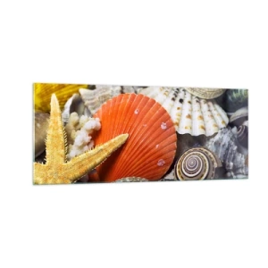 Obraz na szkle - Skarby oceanu - 100x40 cm