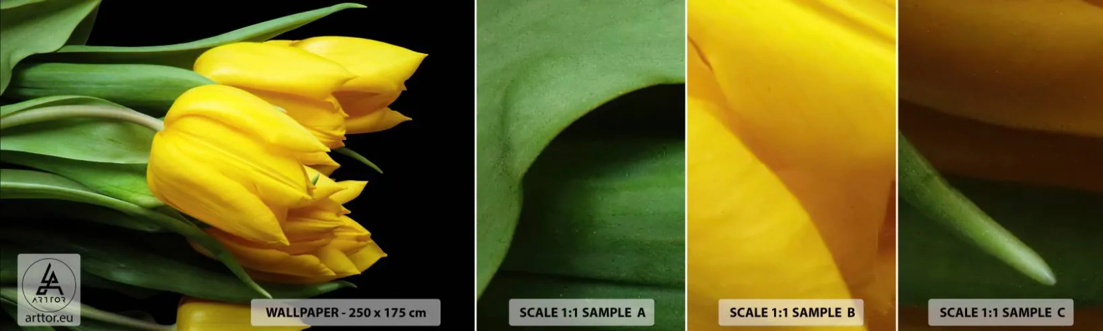 Fototapeta Próbka Samoprzylepna Deluxe Sticker - Powstały z czystego słońca - Kwiaty, Tulipany, Bukiet Kwiatów - 100x30 cm