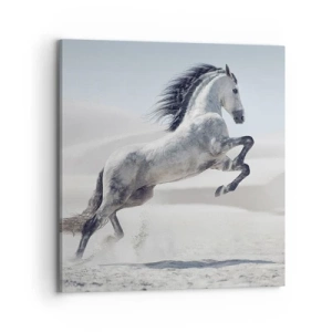 Obraz na płótnie - Arabski książę - 70x70 cm