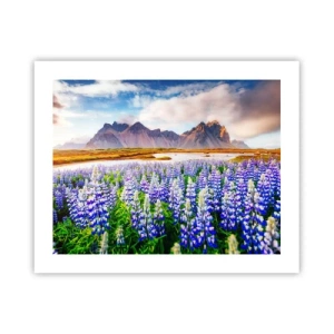 Plakat - Siła i surowość obok łagodności - 50x40 cm