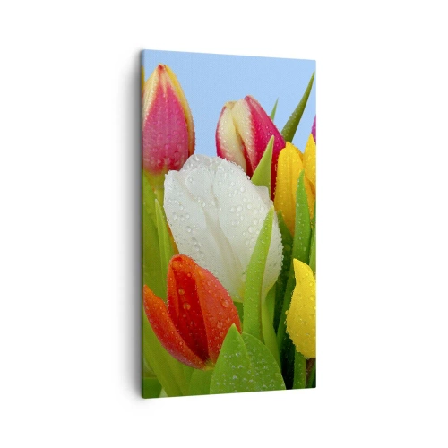 Obraz na płótnie - Kwiatowa tęcza w kroplach rosy - 45x80 cm