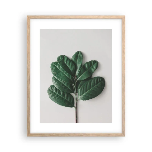 Plakat w ramie jasny dąb - Rysunek samej natury - 40x50 cm