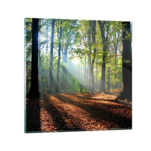 Obraz na szkle - Blaski i cienie - 70x70 cm