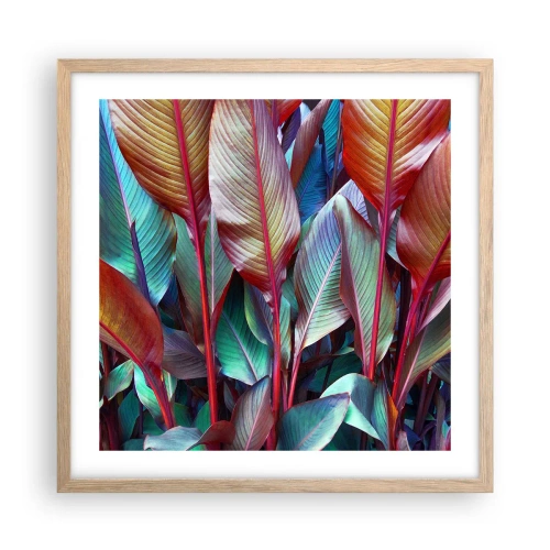 Plakat w ramie jasny dąb - Kolorowy gąszcz - 50x50 cm