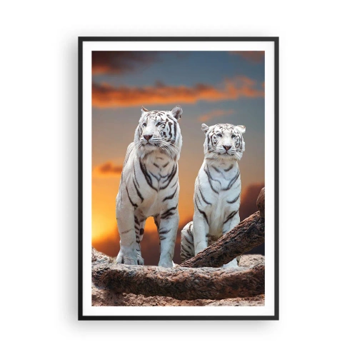 Plakat w czarnej ramie - Zupełnie jak w Narni - 70x100 cm