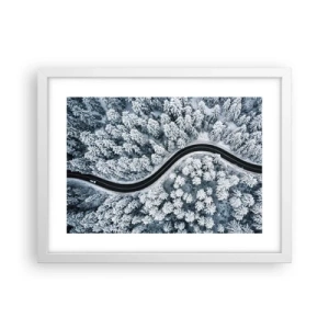 Plakat w białej ramie - Przez zimowy las - 40x30 cm