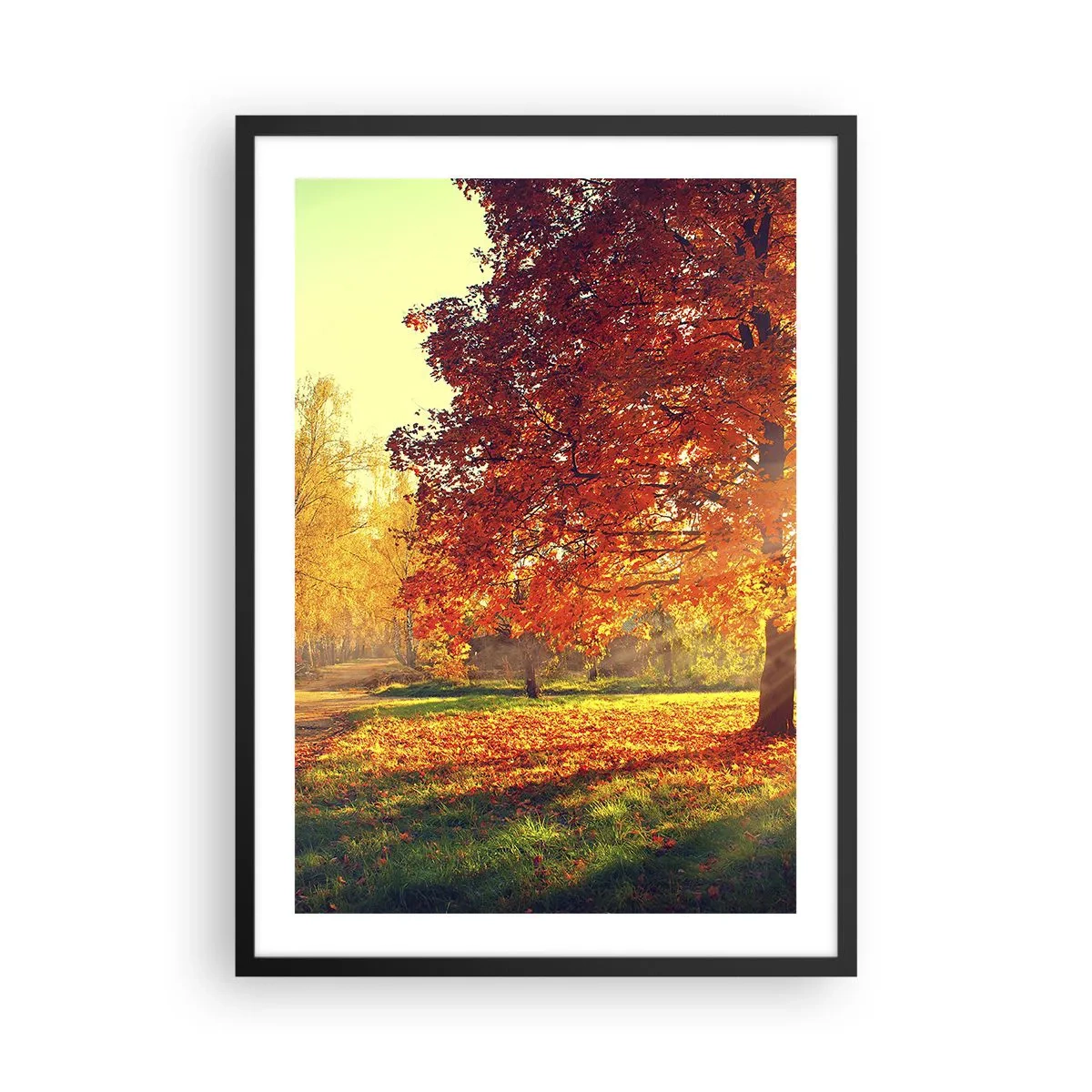 Plakat w czarnej ramie - Jesienny park z drzewem o złotych liściach w słońcu - 50x70cm - Rude jest piękne - Nowoczesna dekoracja ścienna do salonu i sypialni ARTTOR