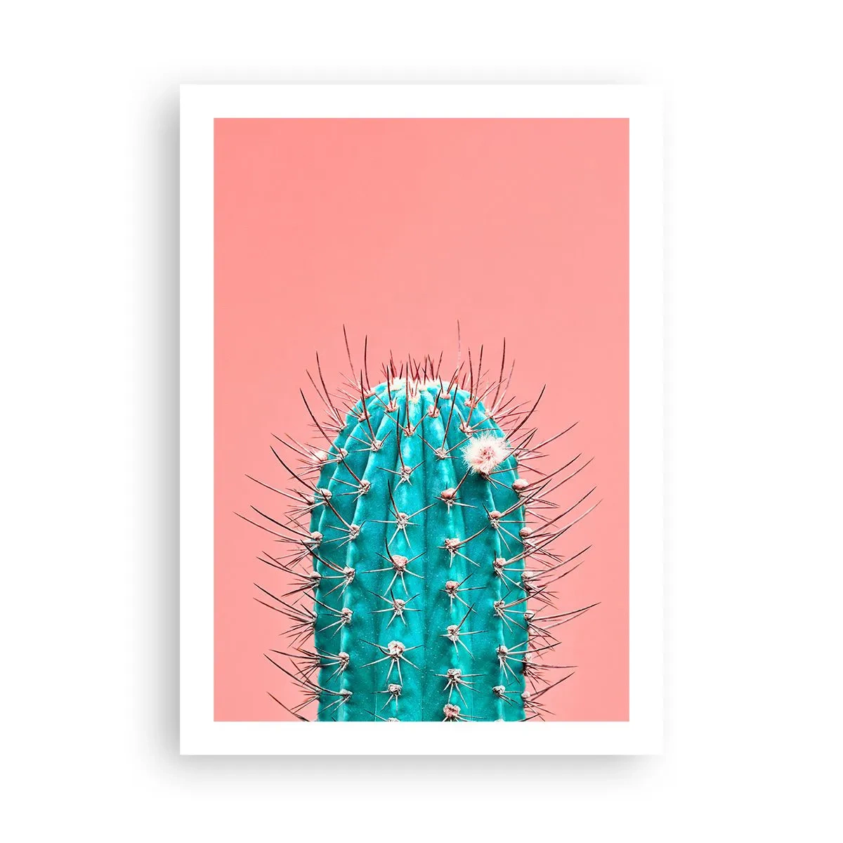 Plakat - Turkusowy kaktus na różowym tle - 50x70cm - Tylko patrz - Nowoczesna dekoracja ścienna do salonu, kuchni i sypialni ARTTOR
