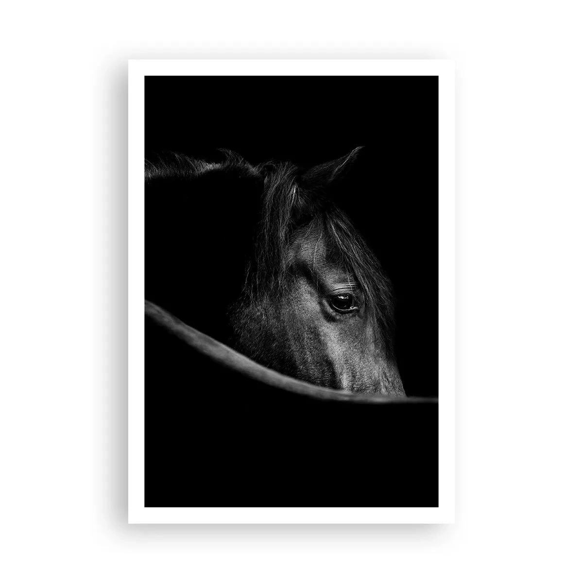 Plakat - Czarny książę - 70x100 cm