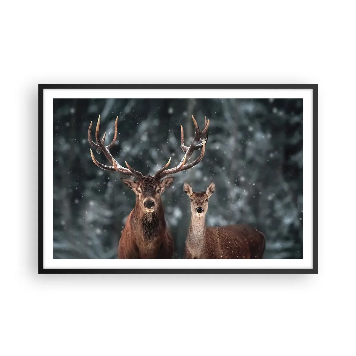 Plakat w czarnej ramie - Pan lasu z małżonką - 91x61 cm