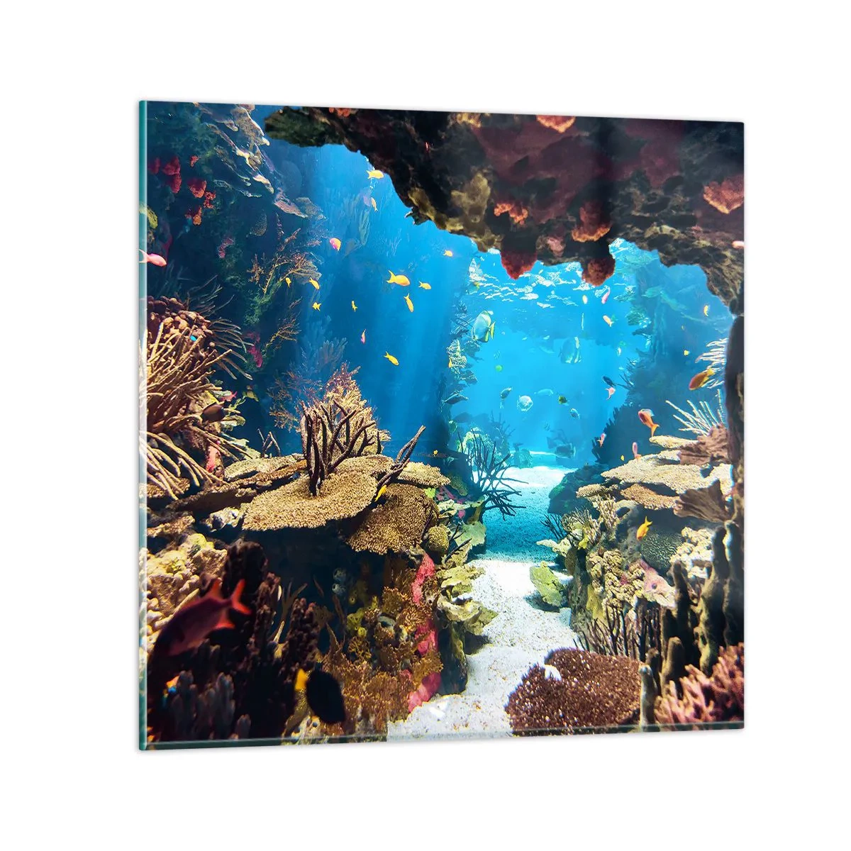 Obraz na szkle - Nawet ci się nie śniło - 70x70 cm