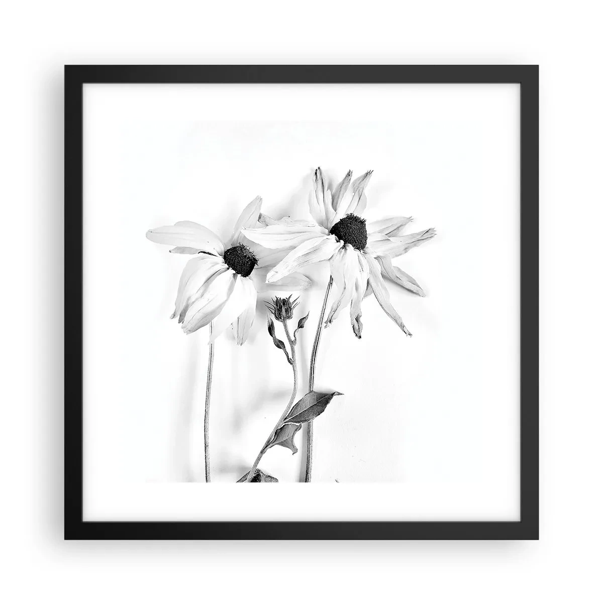 Plakat w czarnej ramie - Nikt nie chce być sam - 40x40 cm