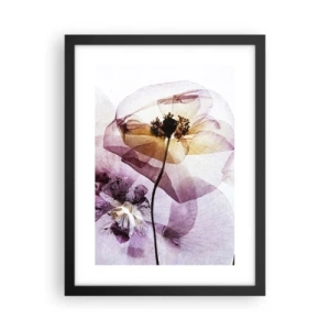 Plakat w czarnej ramie - Kwiatów ciała przezrocze - 30x40 cm
