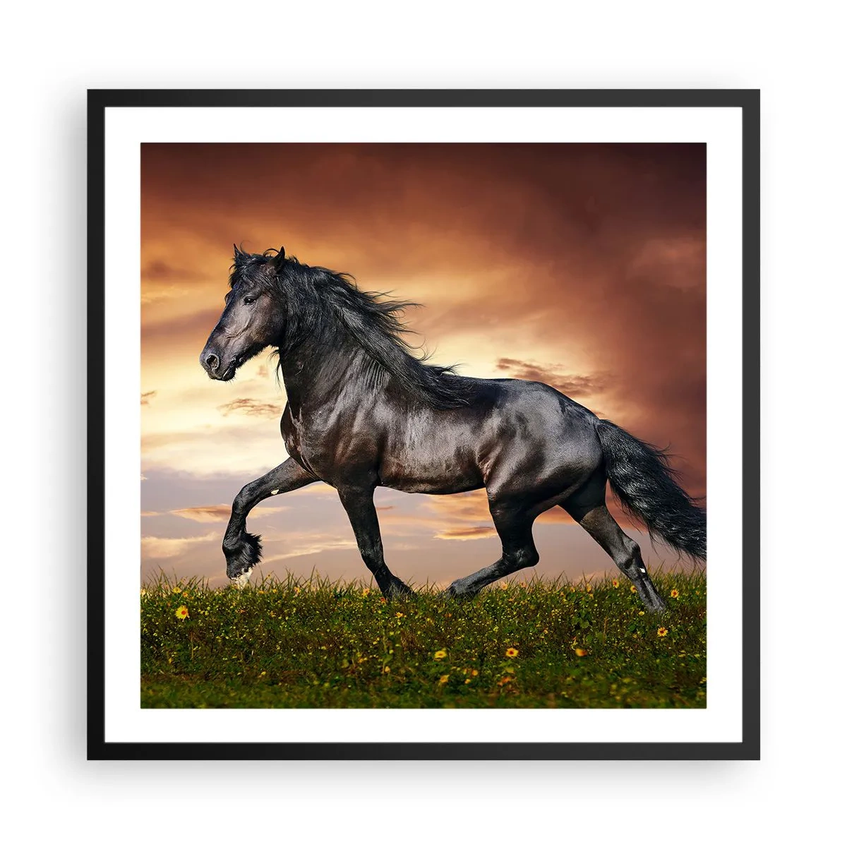 Plakat w czarnej ramie - Czarny książę - 60x60 cm