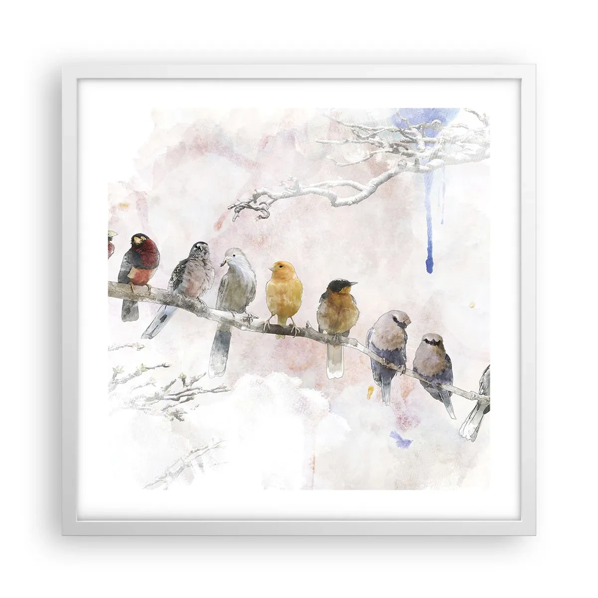 Plakat w białej ramie - Skrzydlate spotkanie - 50x50 cm