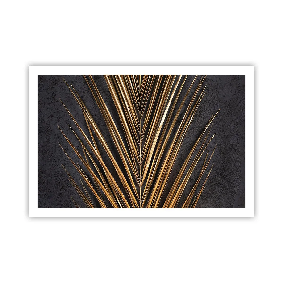Plakat - Złoto tropików - 91x61 cm