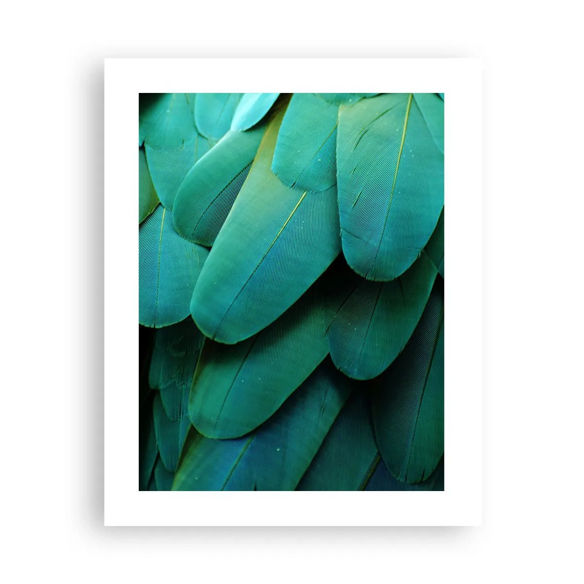 Plakat - Precyzja papuziej natury - 40x50 cm