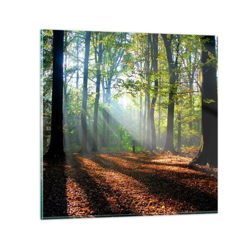 Obraz na szkle - Blaski i cienie - 30x30 cm