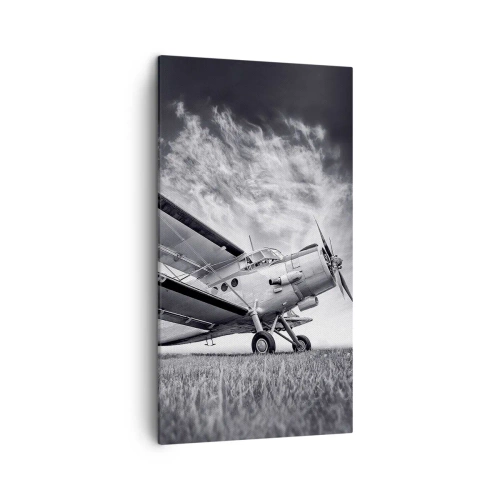 Obraz na płótnie - Skrzydlaty wędrowiec - 45x80 cm