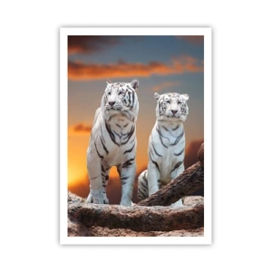 Plakat - Zupełnie jak w Narni - 70x100 cm