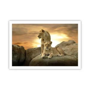 Plakat - Królewski majestat - 91x61 cm