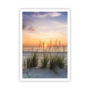 Plakat - Popatrz, pomyśl, poczuj - 70x100 cm
