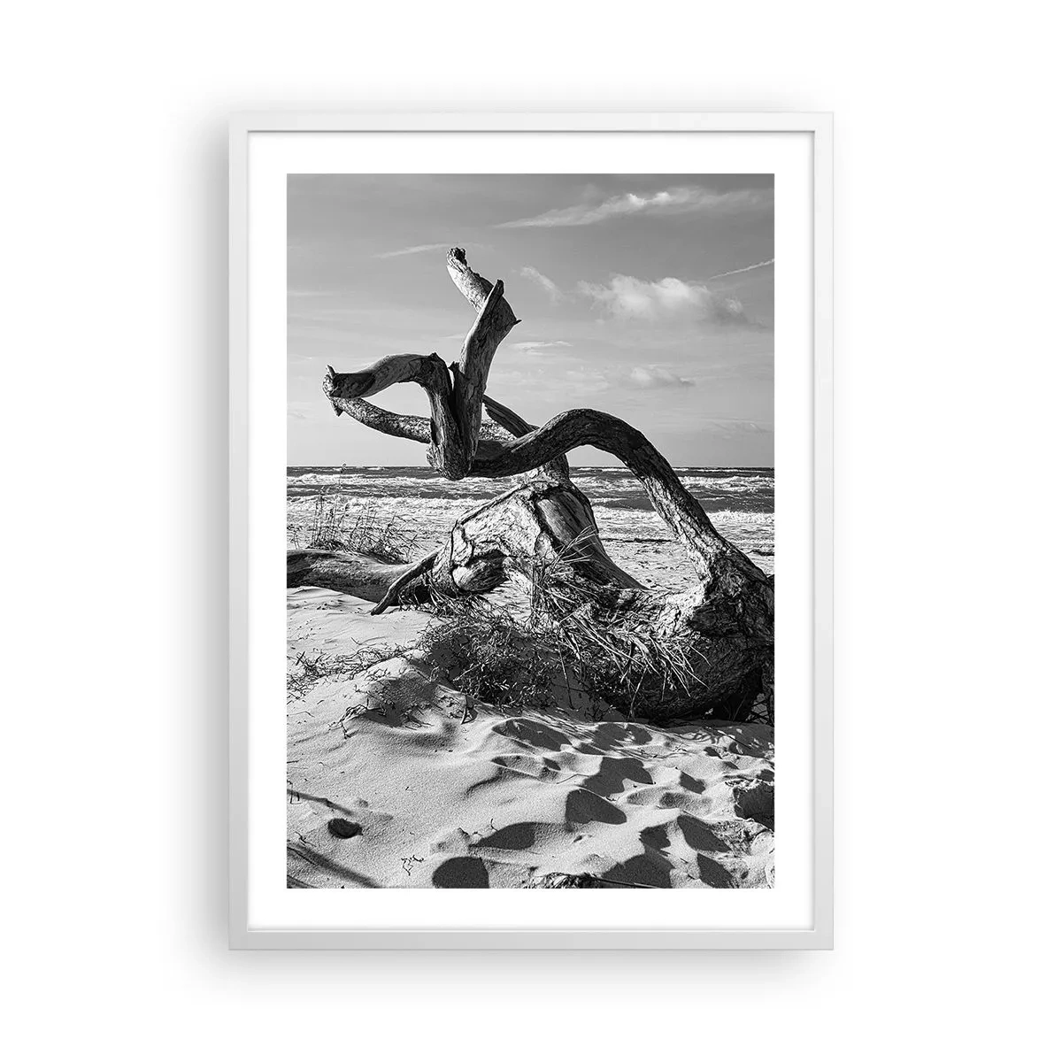 Plakat w białej ramie - Morska rzeźba - 50x70 cm