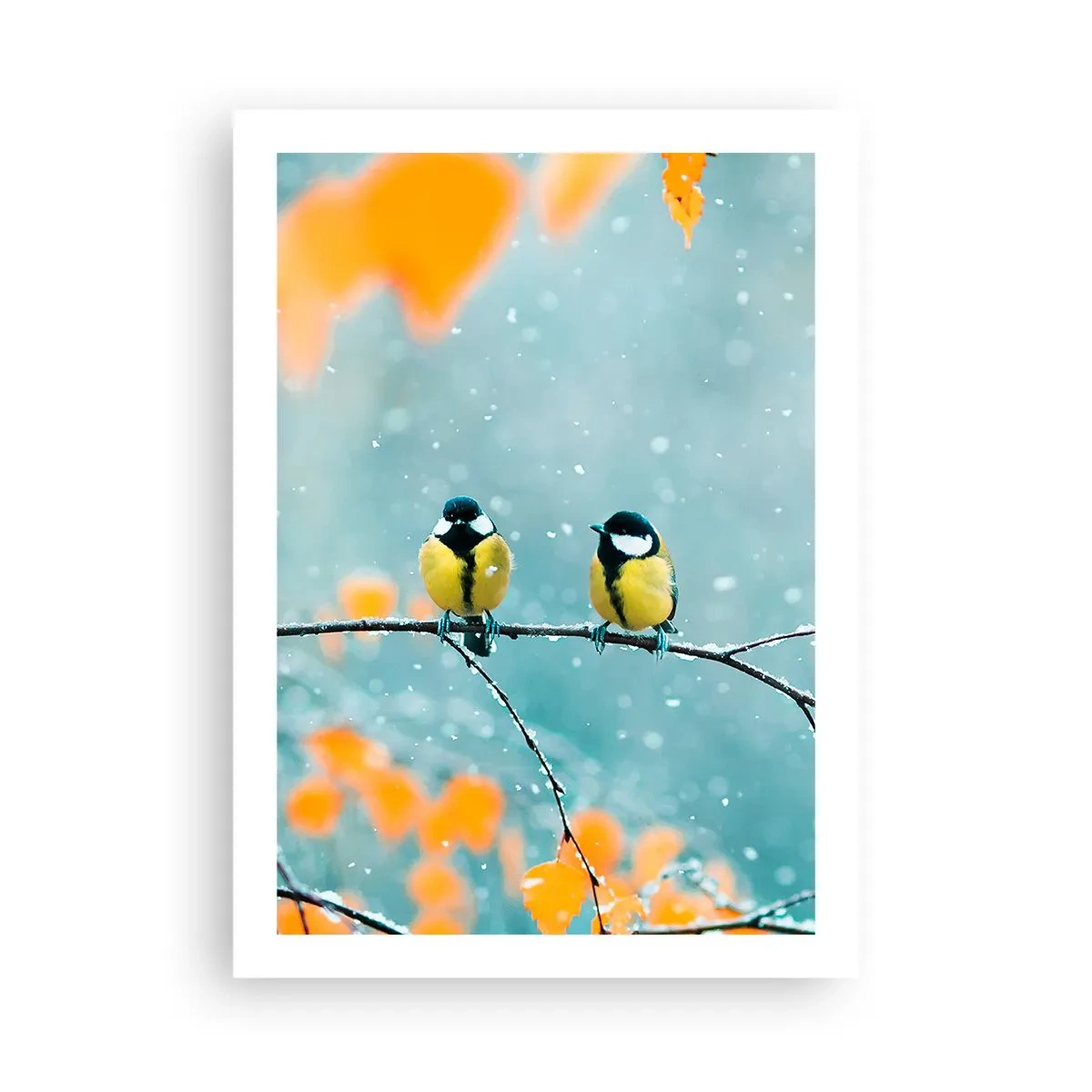 Plakat - Dwie sikorki siedzące na gałęzi w zimowej scenerii - 50x70cm - Ptasie plotki - Nowoczesna dekoracja ścienna do salonu, kuchni i sypialni ARTTOR