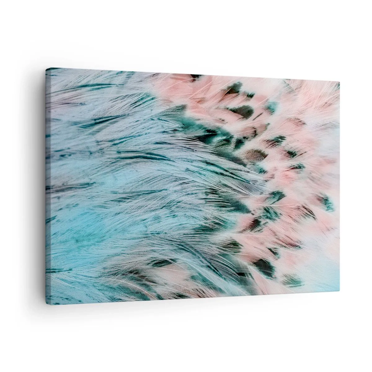 Obraz na płótnie - Zbliżenie na pióra w pastelowych szafirowo-różowych barwach - 70x50cm - Szafirowo-różowy puch - Nowoczesna dekoracja ścienna do salonu i sypialni ARTTOR