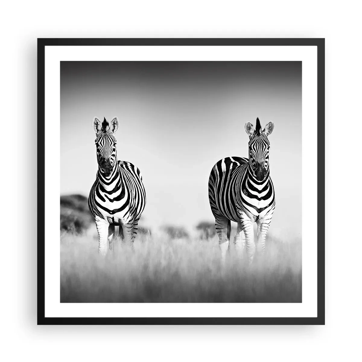 Plakat w czarnej ramie - A jednak świat jest czarno-biały - 60x60 cm