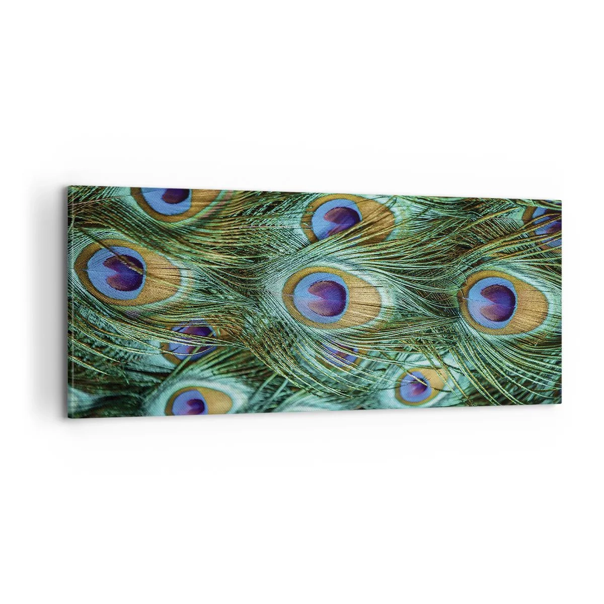 Obraz na płótnie - Pawiookie spojrzenie - 100x40 cm