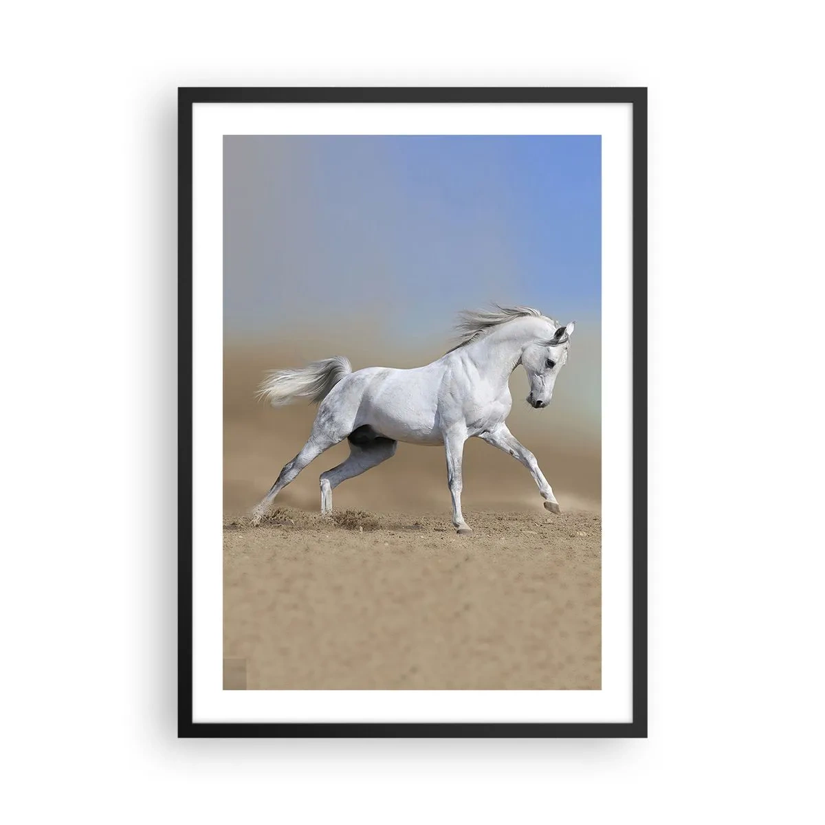 Plakat w czarnej ramie - Biały koń w galopie na pustynnym tle - 50x70cm - Najpiękniejsza arabska baśń - Nowoczesna dekoracja ścienna do salonu i sypialni ARTTOR