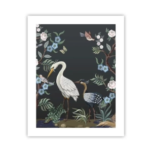 Plakat - Ptasia parada - 40x50 cm