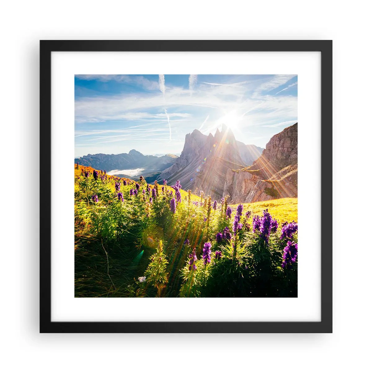 Plakat w czarnej ramie - Sekretne życie ziół - 40x40 cm