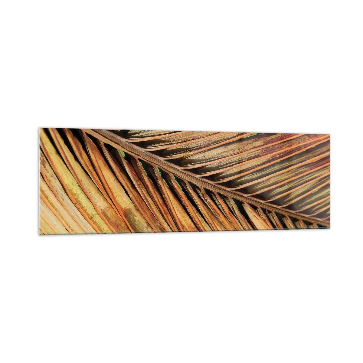 Obraz na szkle - Zbliżenie na suchy liść palmy w ciepłych odcieniach - 160x50cm - Kokosowe złoto - Nowoczesna dekoracja ścienna do salonu i sypialni ARTTOR