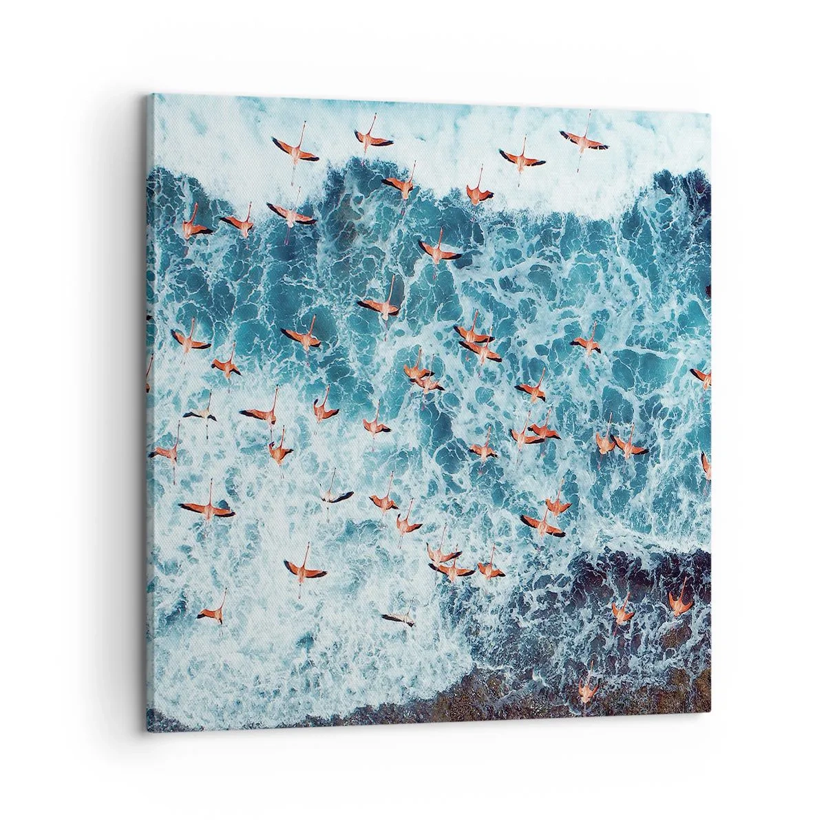 Obraz na płótnie - Nadmorska parada - 60x60 cm