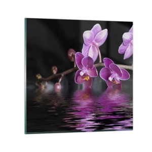 Obraz na szkle - Liliowe odbicie piękna - 60x60 cm